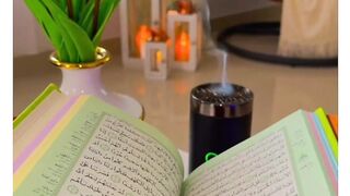 Best Beautiful Video In The World