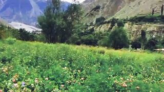 Love nature
