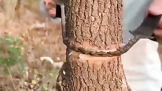 Pocket Chainsaw Shorts  Video | Science and Technology / amazing trick