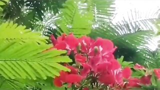 Well come Spring.. a Romantic Seasons