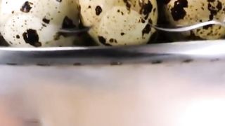 انڈہ کوفتہ   Egg Kofta