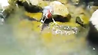 Bird fishing