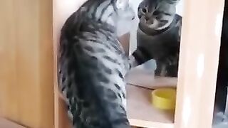 Сам себя не узнал...