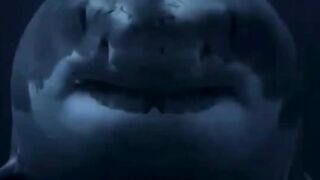 Это эпическое видео снято на острове Гвадалупа.