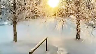 Мир прекрасен.