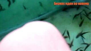бизнес  с минимальными вложениями