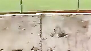 Вот это исполнил.
