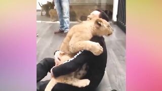 Cute animals - These hugs will cheer you up for the whole day
