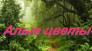 Алые цветы