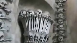Czech Bone Storage