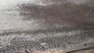За профессионалами всегда приятно смотреть.  Мужские лайфхаки