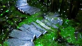 Дивная , девственная красота. Цюрих.