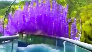 Потрясающий аквапарк Gold Dragon Water world/