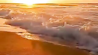 Золотой вечер.