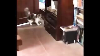 Не пытайтесь сдержать смех