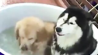 С добрым утром! 2