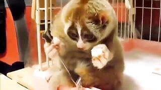 Божей какая милота )))