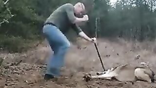 Ну очень смелый дяденька! Респект ему!