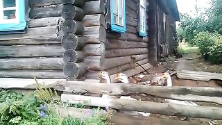 Гусь