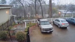 Случаи с Природой