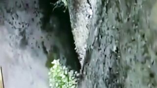 Наверное не каждый решится пройти по такой дорожке.
