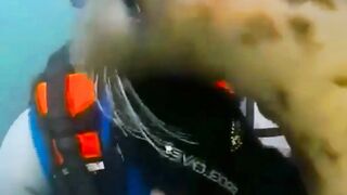 Вы посмотрите на эту игривую милаху.