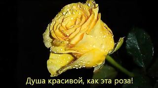Прекрасные цветы розы хорошему человеку с добрыми пожеланиями