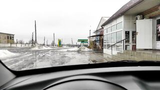 буду проводить воду для свиноматок