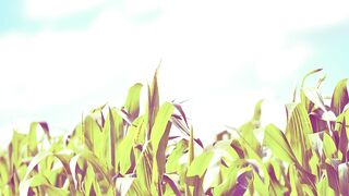 Утренние АФФИРМАЦИИ ОСОЗНАННОЙ ЕДЫ