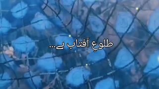 Noor-e-Mahtab
