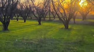 Sun sit view with beautiful greenery ????????????????????