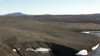 Wolf Pack Hunts A Hare | The Hunt |