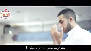 تلاوت قرآن مجید