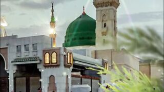Pyara Madina   پیارا مدینہ