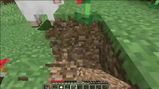 The Minecraft House Project GAMEPLAY #5