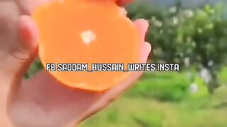 Hamare Nabi Pak SAW(ﷺ) Nay Farmaya Tum Log Santra Istemal Kiya Karo