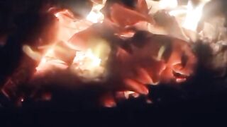 Cupcat velocity