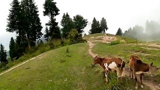 Best Place to Visit in Swat, KP, Switzerland of Asia