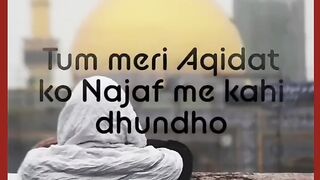 Tum Meri Aqidat ko Najaf Me Khair Dhundho | The Door Of Islam