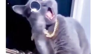 Wow! what a song?