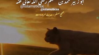 Beli ki kamai se #cat #haram #islamic