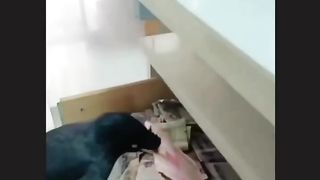 Check the training of pet
