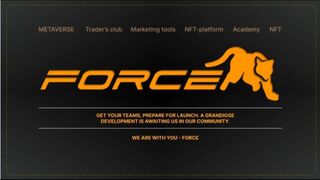 7 Months Journey With Meta Force