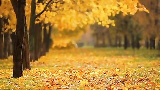 Nature beauty