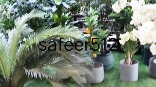 Greenery in home
