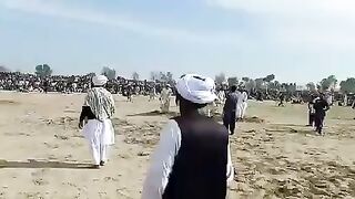 اونٹوں کی لڑائی