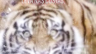 Palavras motivacional, se escreva no canal