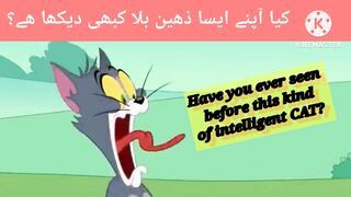 Tom & Jerry 2