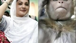 Best Fails of 2023 || Funny Videos
