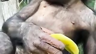 Satanist monki eit the banana
